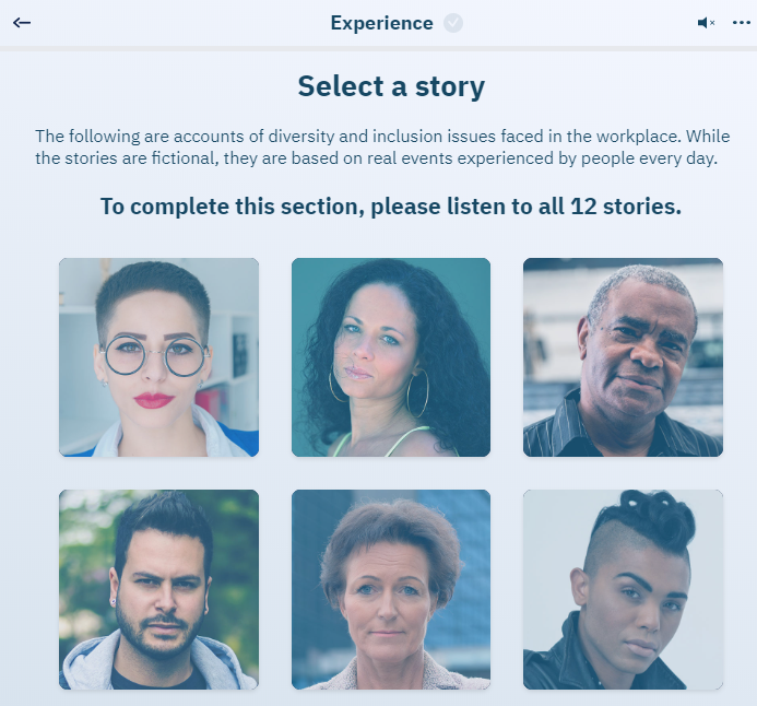 Diversity training "Experience" screenshot