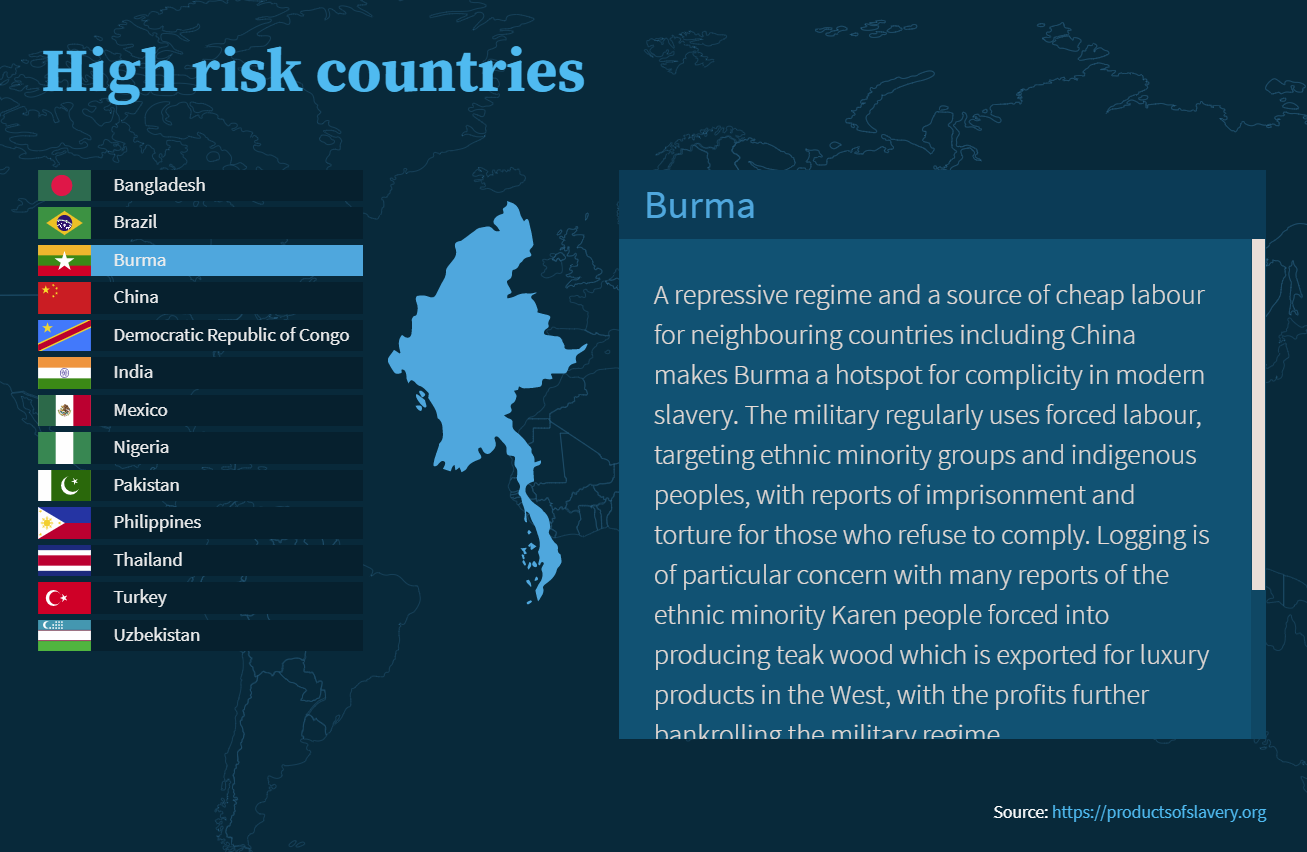 Screenshot from an online modern slavery course