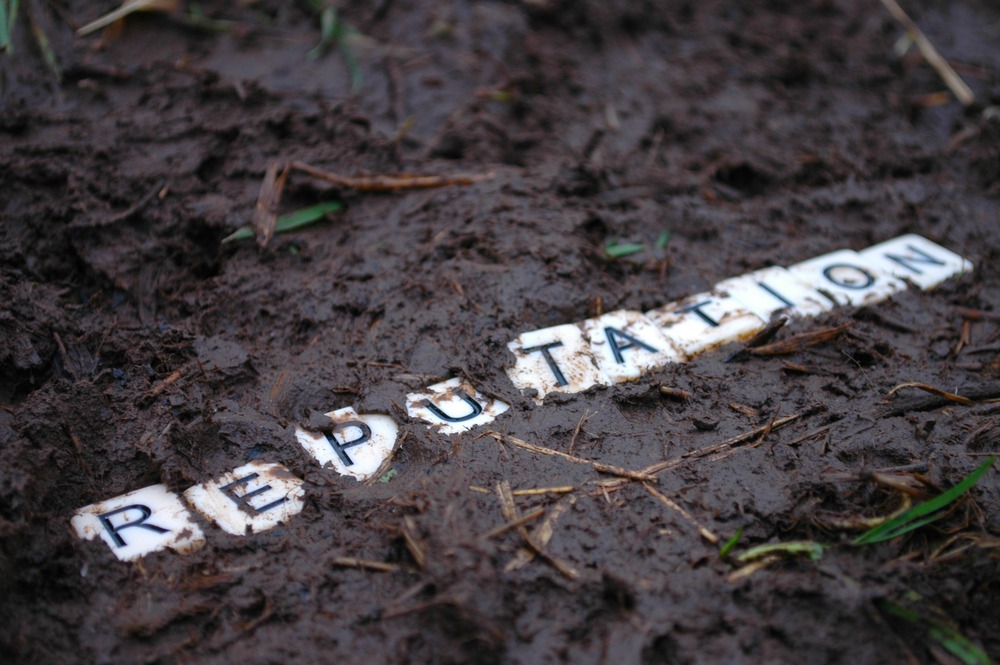 Reputation in mud