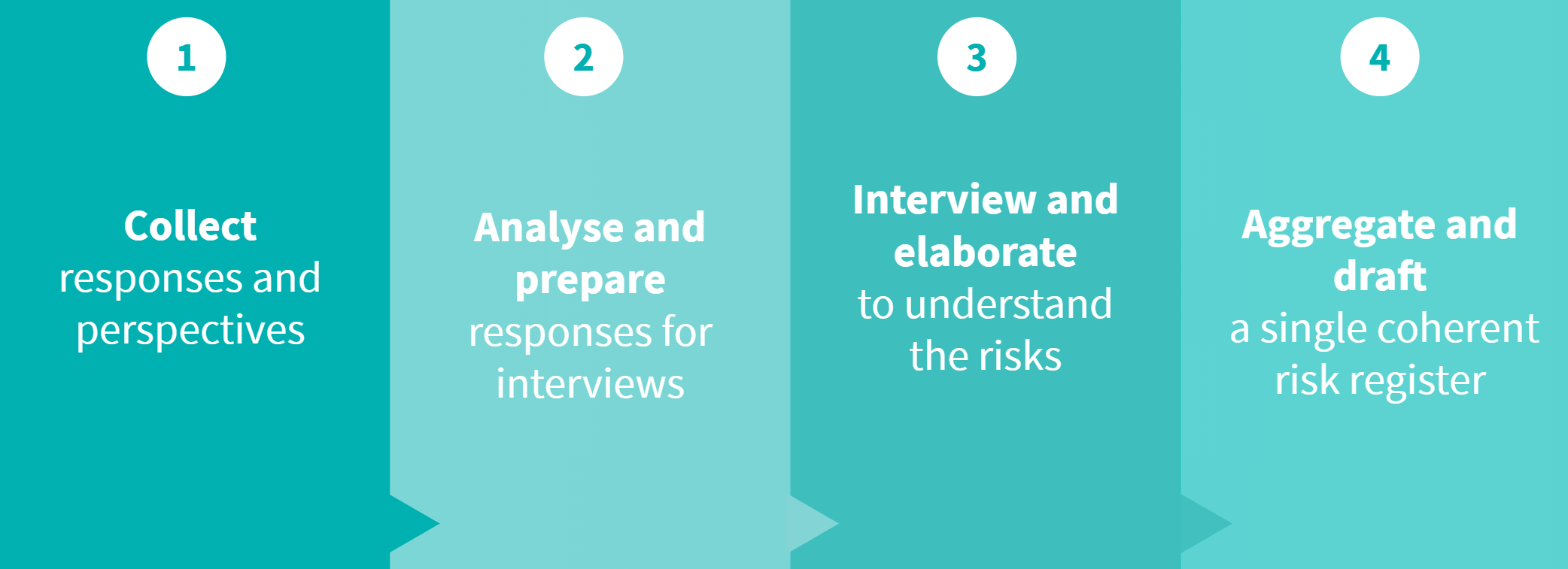 The risk identification process